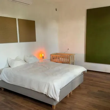 An Unique Spacious Property With Terass *